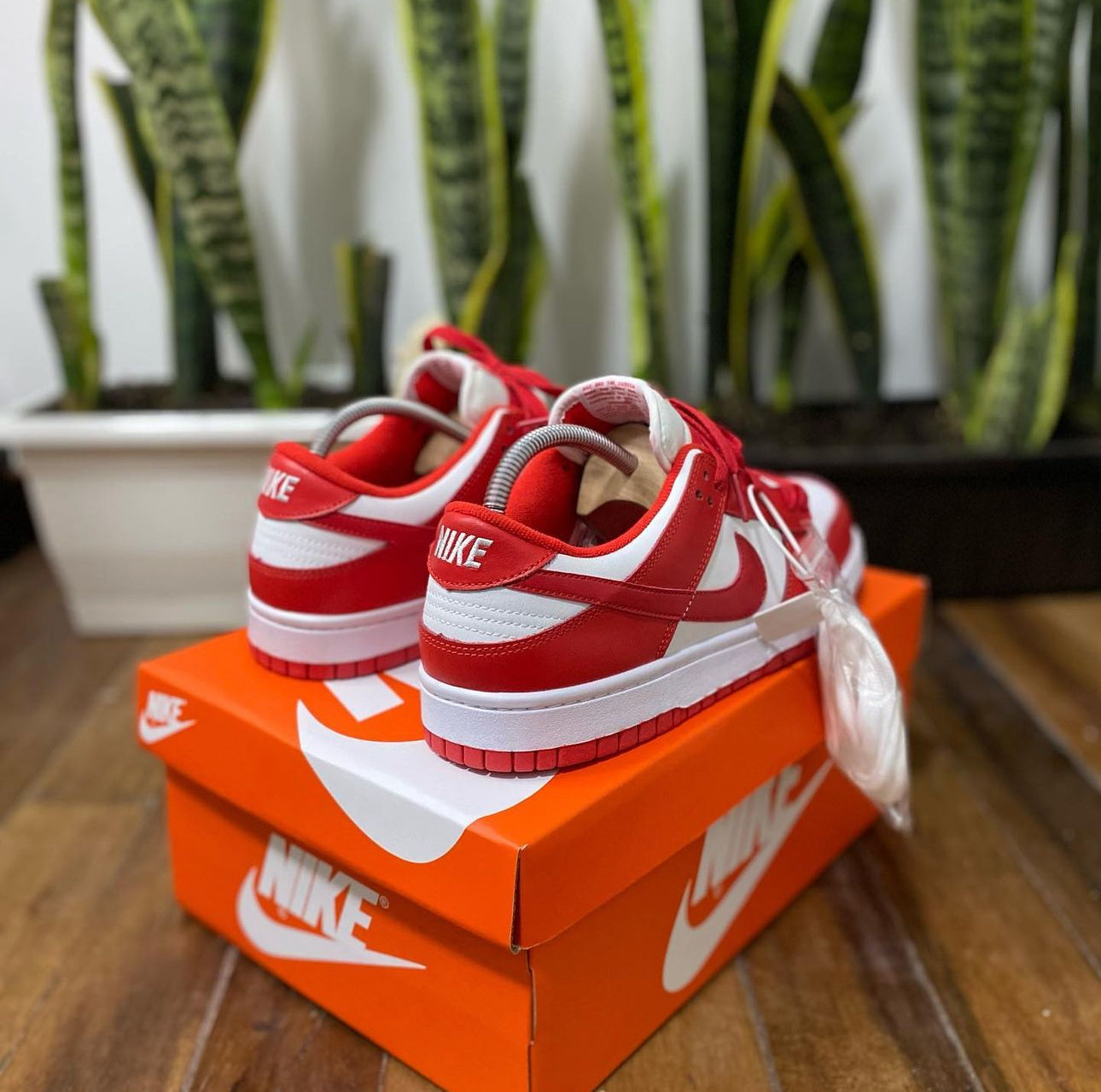 Nike Sb Dunk ROJA