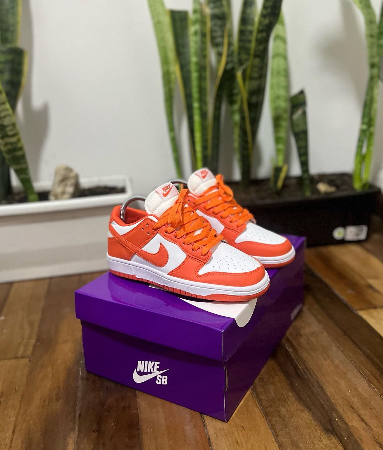 Nike Sb Dunk Naranja