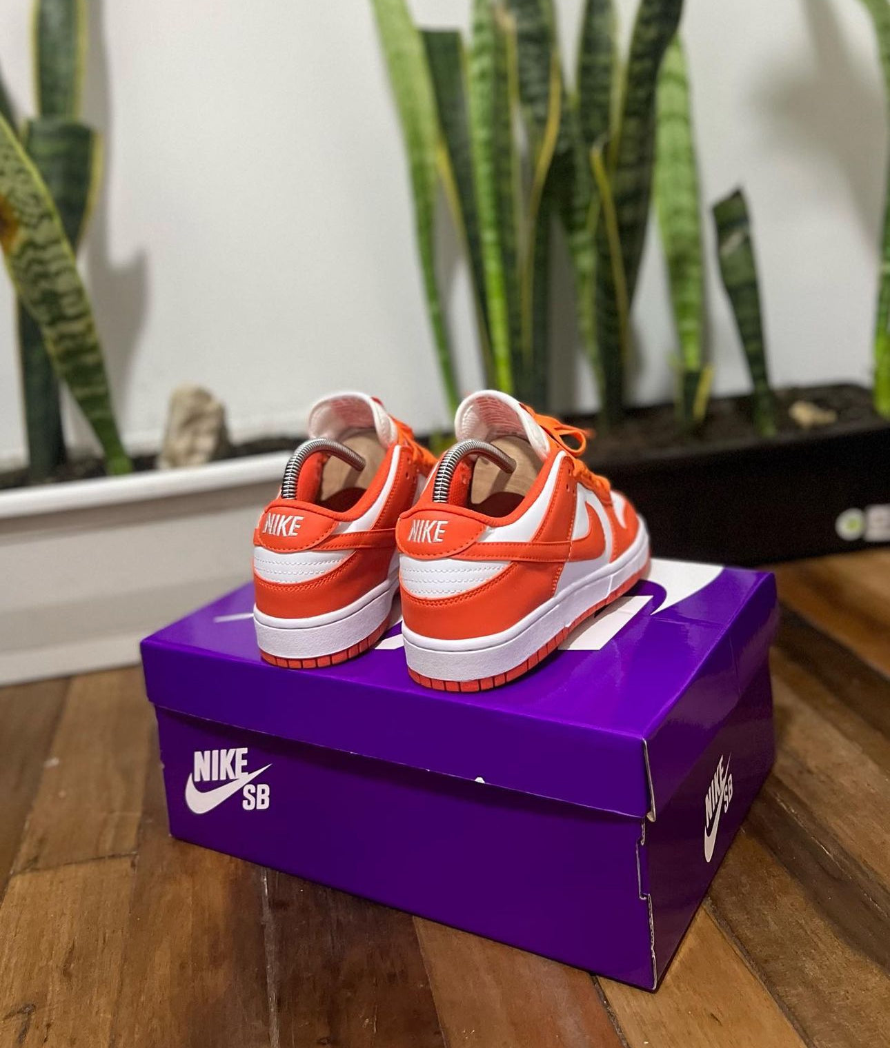 Nike Sb Dunk Naranja