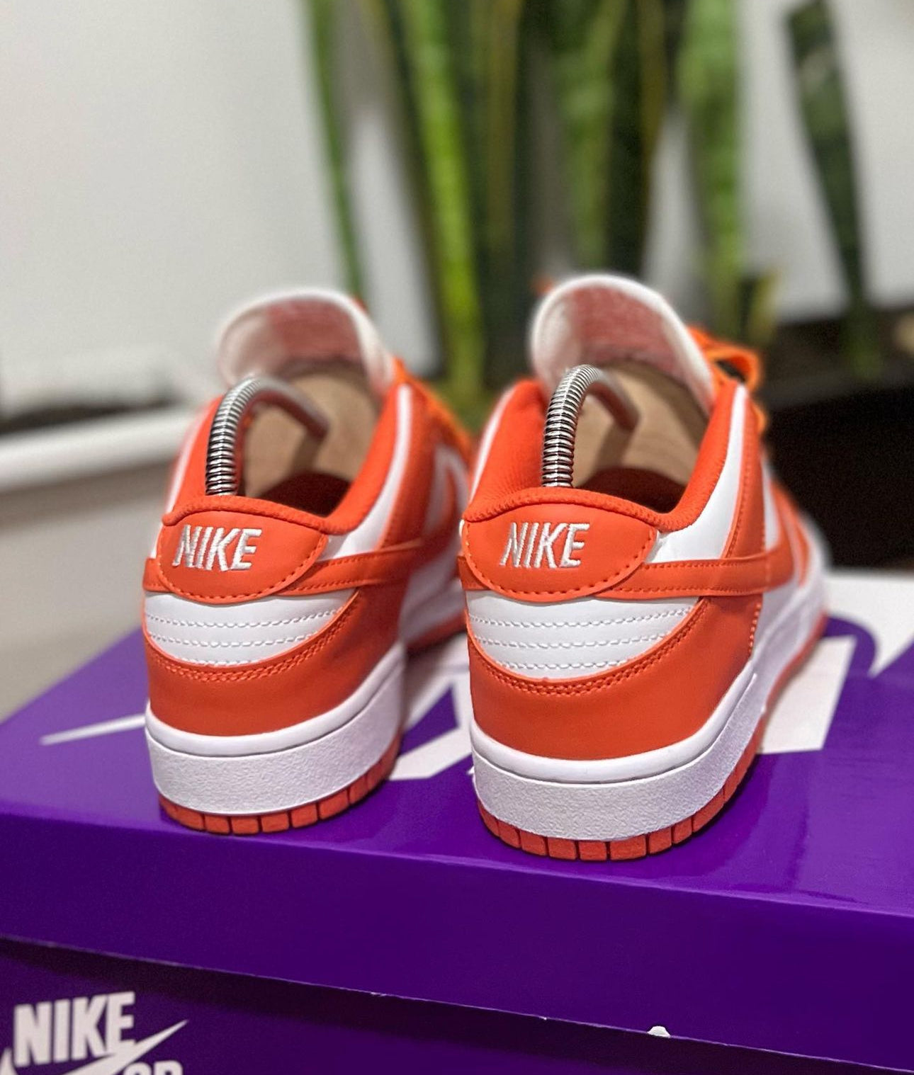 Nike Sb Dunk Naranja